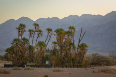 02-Round-South-Israel-New-Years-day-2025-Day-Three-Evrona-Nature-Reserve-Morning