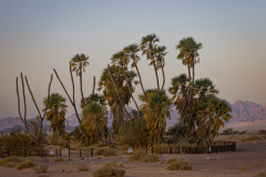 04-Round-South-Israel-New-Years-day-2025-Day-Three-Evrona-Nature-Reserve-Morning