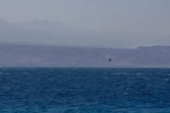 01-Eilat-Coral-Beach-Nature-Reserve-1-scaled