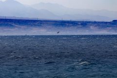 03-Eilat-Coral-Beach-Nature-Reserve-1-scaled