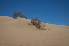 21-Samar-Sands