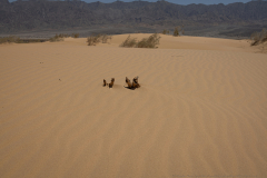 28-Samar-Sands
