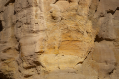 45-Nimra-Nature-Reserve